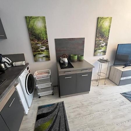 Apartament Acasa Sf.Gheorghe Sfântu-Gheorghe Eksteriør billede