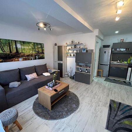 Apartament Acasa Sf.Gheorghe Sfântu-Gheorghe Eksteriør billede