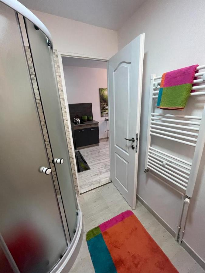 Apartament Acasa Sf.Gheorghe Sfântu-Gheorghe Eksteriør billede