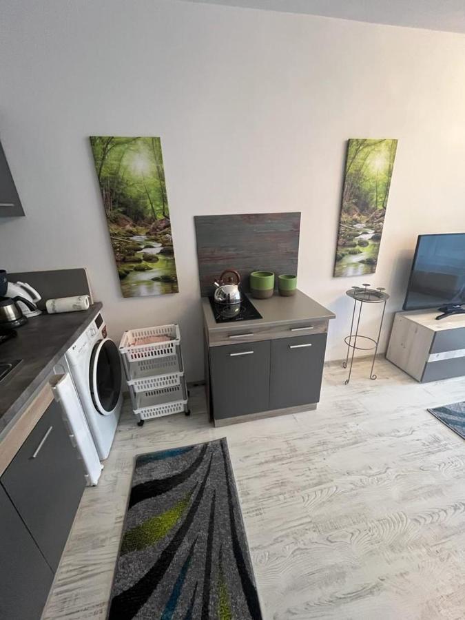 Apartament Acasa Sf.Gheorghe Sfântu-Gheorghe Eksteriør billede